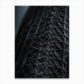 An Up Close View Of An Intricate Lace Texture Detailing The Fine Mesh Of Interwoven Fibers Contras Canvas Print