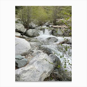 Stream In The Woods 2 Canvas Print