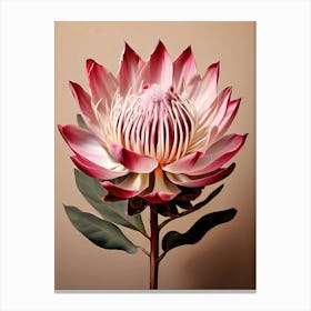 A Digital Painting Of A Large Protea Flower Centered In The Composition Against A Solid Beige Backg (3) Canvas Print