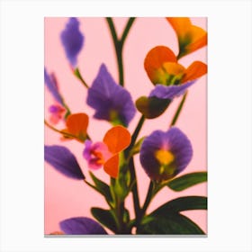 African Violet Colourful Illustration Plant Canvas Print