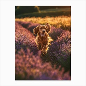 Dog Running Through Lavender Field. Generated AI. Art Print 3 Canvas Print