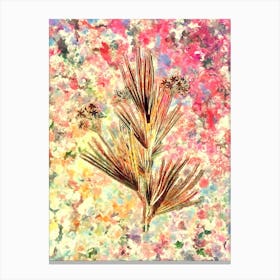 Impressionist Blue Stars Botanical Painting in Blush Pink and Gold n.0011 Canvas Print