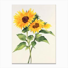 Sunflower Vintage Flowers Flower Canvas Print