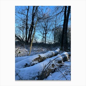 Snowy Woods Canvas Print