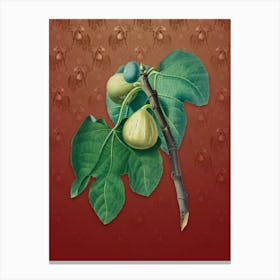 Vintage Fig Botanical on Falu Red Pattern n.0073 Canvas Print