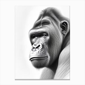 Gorilla With Thinking Face Gorillas Greyscale Sketch 1 Canvas Print