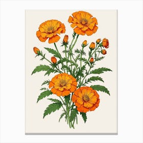 Marigolds Canvas Print