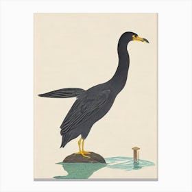 Cormorant Illustration Bird Canvas Print