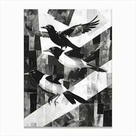 Magpies Canvas Print