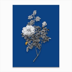 Vintage Ventenats Rose Black and White Gold Leaf Floral Art on Midnight Blue n.1184 Canvas Print
