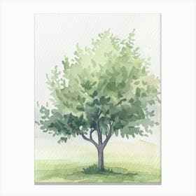Plum Tree Atmospheric Watercolour Painting 1 Canvas Print