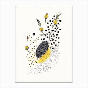 Black Mustard Seed Spices And Herbs Pencil Illustration 4 Canvas Print