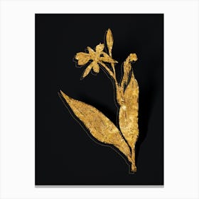 Vintage Bandana of the Everglades Botanical in Gold on Black n.0247 Canvas Print