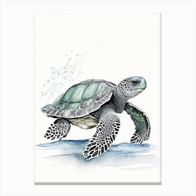 Leatherback Sea Turtle (Dermochelys Coriacea), Sea Turtle Pencil Illustration 1 Canvas Print