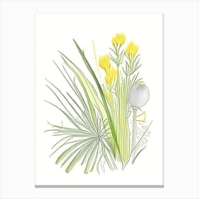 Lemon Grass Spices And Herbs Pencil Illustration 4 Canvas Print