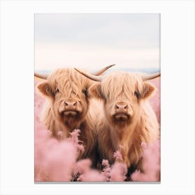 Portrait Of Two Highland Cows In The Field Pink Realistic Photography 4 Canvas Print