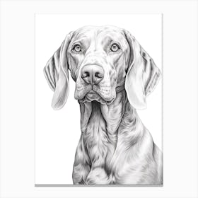 Weimaraner Dog, Line Drawing 1 Canvas Print
