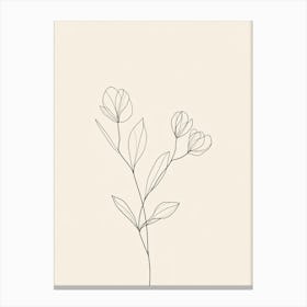 Line Drawing Of A Flower Canvas Print