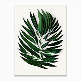 Rosemary Leaf Vibrant Inspired 4 Canvas Print