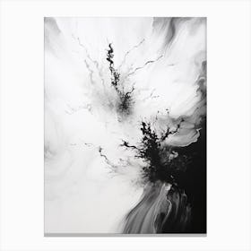 Celestial Whsipers Abstract Black And White 3 Canvas Print