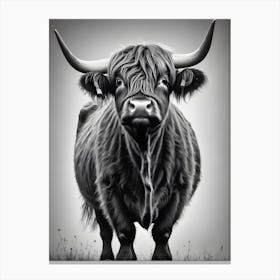Highland Cow 15 Canvas Print