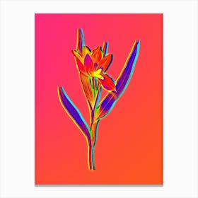 Neon Tulipa Oculus Colis Botanical in Hot Pink and Electric Blue Canvas Print