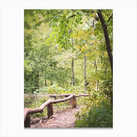 New York, USA I Green nature walk in Central Park like a forest of trees, a lake or hiking trails in NYC big apple wild savage boho and stunning Moody aesthetic for Fine Art photography Canvas Print