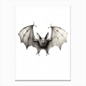 Botanical Fruit Bat Illustration 2 Canvas Print