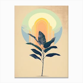 Tree In The Sun Canvas Print