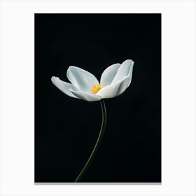 White Flower 11 Canvas Print