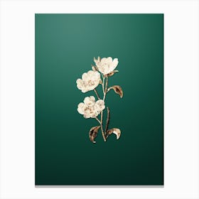 Gold Botanical Pink Oenothera Flower on Dark Spring Green n.3989 Canvas Print