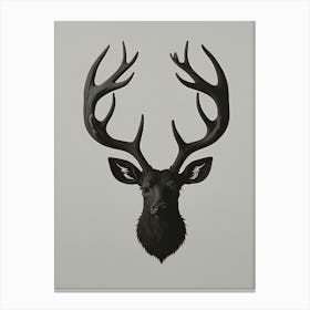 Deer Head 1 Canvas Print