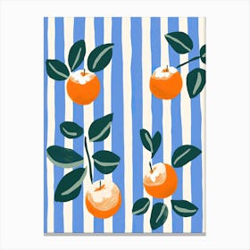 Apricots Fruit Summer Illustration 5 Canvas Print