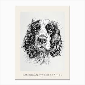 American Water Spaniel Line Sketch 3 Poster Canvas Print