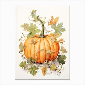 Musque De Provence Pumpkin Watercolour Illustration 2 Canvas Print