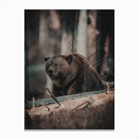 Moody Forest Bear Canvas Print