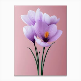 Crocus Flowers 2 Canvas Print