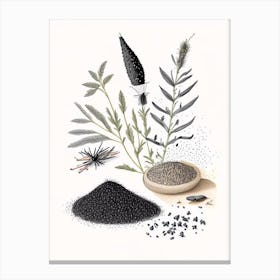 Black Sesame Spices And Herbs Pencil Illustration 4 Canvas Print