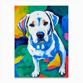 Labrador 5 Fauvist Style dog Canvas Print