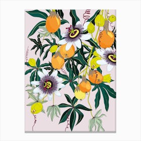 Blossoming Passionfruit Flowers Canvas Print