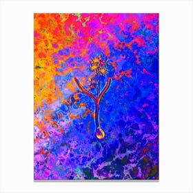 Alpine Squill Botanical in Acid Neon Pink Green and Blue n.0171 Canvas Print