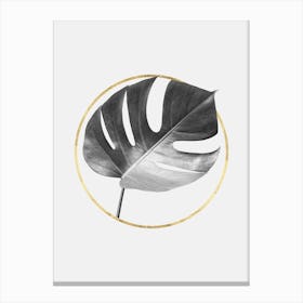 Minimalist floral art 3 Canvas Print