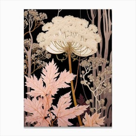 Flower Illustration Queen Annes Lace 7 Canvas Print