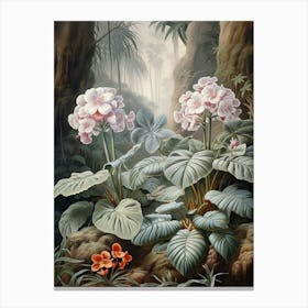 Vintage Jungle Botanical Illustration African Violet 2 Canvas Print