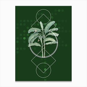 Vintage Banana Tree Botanical with Geometric Line Motif and Dot Pattern n.0136 Canvas Print