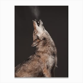 Howling Coyote Canvas Print