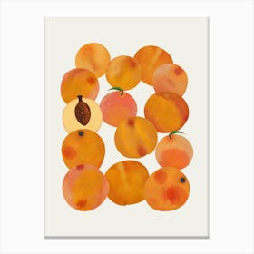 Peaches Canvas Print