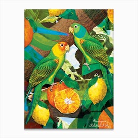 Parrots And Oranges Canvas Print