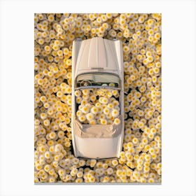 Car Covered In Eggs Canvas Print