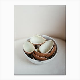 Egg Shells In A Bowl Canvas Print